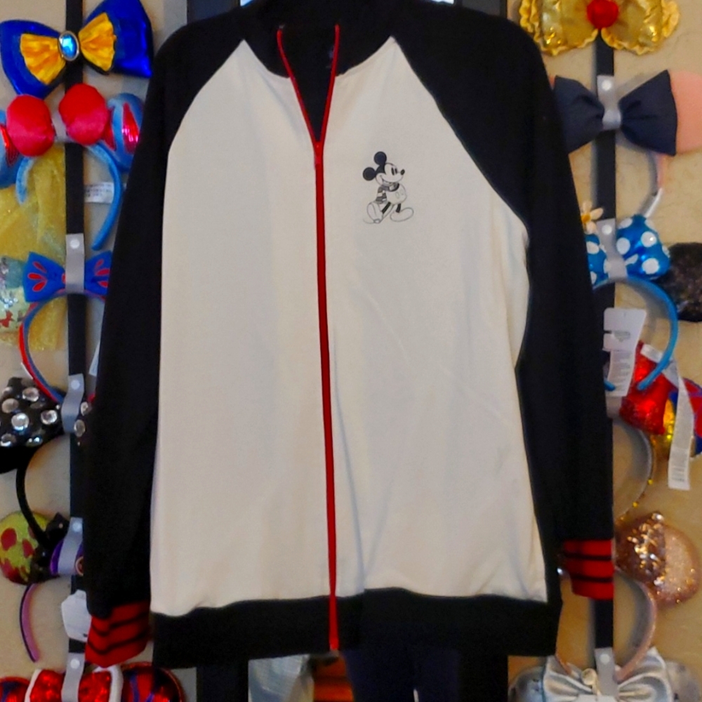 Mickey mouse sweater suit